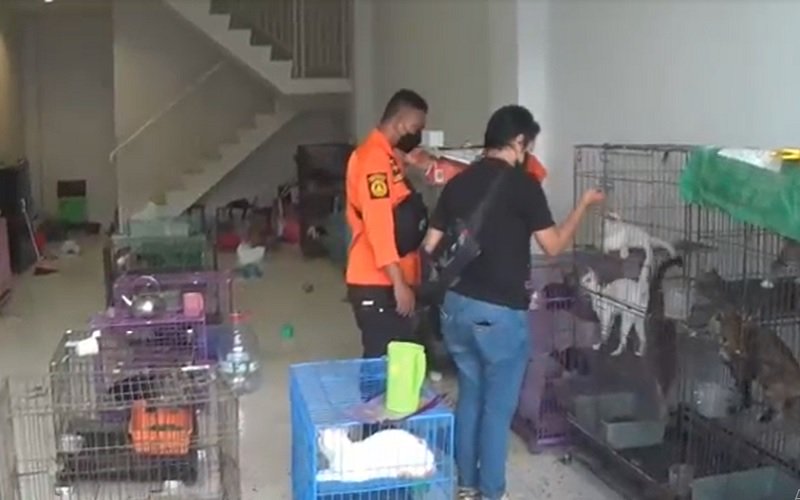 Petugas mendatangi ruko yang terdapat ratusan kucing dan anjing yang ditelantarkan (Foto / Metro TV)