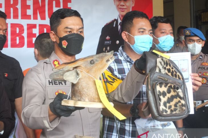 Kapolres Jember AKBP Hery Purnomo menunjukkan barang bukti yang diamankan dari tangan tersangka MMR saat konferensi pers yang digelar di Mapolres Jember, Rabu, 25 Mei 2022. Foto: Antara/HO-Polres Jember