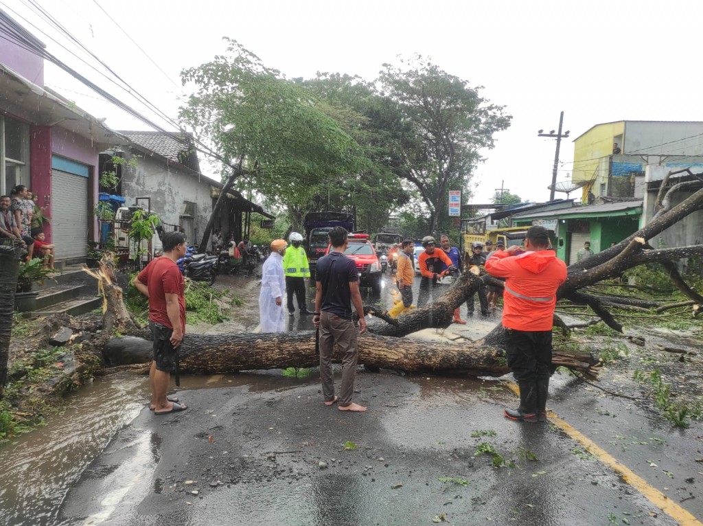 Hujan disertai angin kencang menyebabkan sebuah pohon tumbang di Jalan Raya Talangagung, Kecamatan Kepanjen, Kabupaten Malang, Jawa Timur, Sabtu 28 Mei 2022 sekitar pukul 15.00 WIB/Dok. Polres Malang.