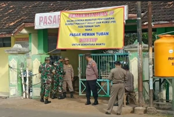 Ribuan Sapi di Tuban Terpapar PMK, Semua Pasar Hewan Ditutup