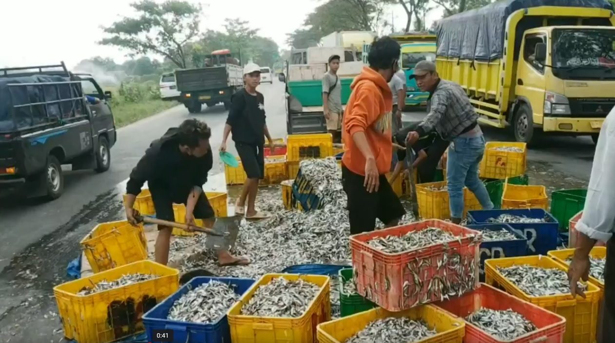 Warga membantu membersihkan tumpahan ikan teri di Jalan Raya Pasuruan/metrotv