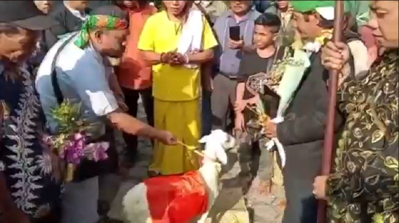 Tangkapan layar proses pernikahan manusia dan kambing di Gresik (Foto / Metro TV)