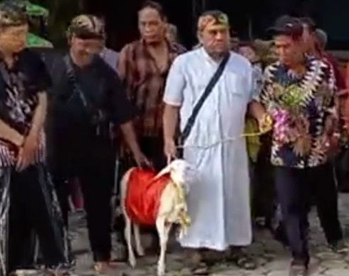 Tangkapan layar proses pernikahan manusia dan kambing di Gresik (Foto / Metro TV)