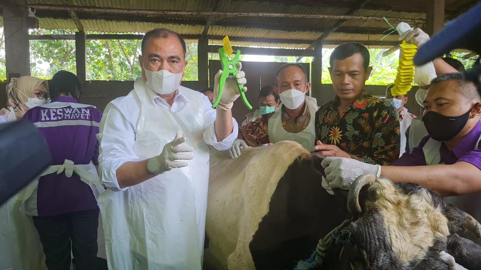 Kementerian Pertanian (Kementan) melakukan vaksinasi massal penyakit mulut dan kuku (PMK) di Kabupaten Sidoarjo, Jawa Timur, pada Selasa, 14 Juni 2022. Foto: Ist