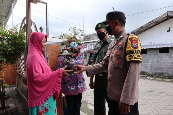 Harga Cabai Mahal, Polisi Gresik Bagikan Bibit