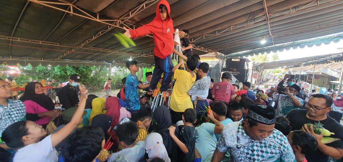 Sedekah Bumi Desa Kedanyang, Ratusan Warga Berebut Tumpeng Raksasa