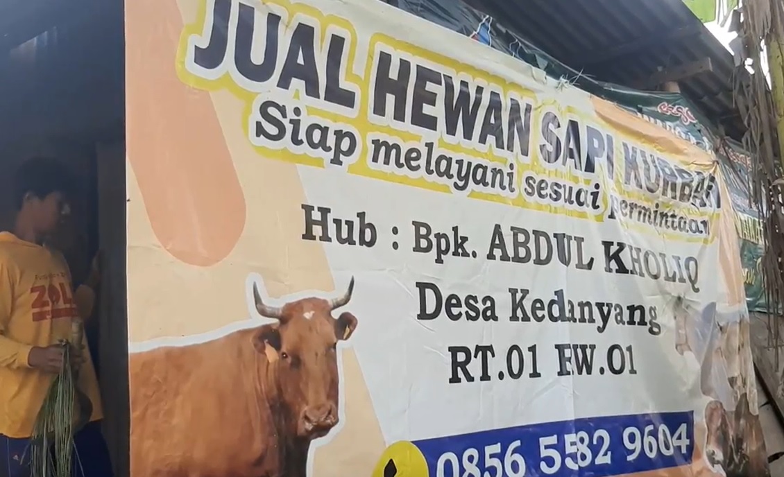 Peternak sapi di Gresik menjual hewan kurban langsung di kandang/metrotv