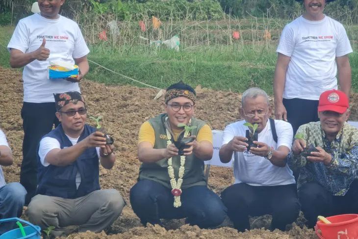 Bupati Pamekasan, Badrut Tamam (tengah) saat melakukan tanam raya di Pamekasan. Foto: Antara/Malik Ibrahim