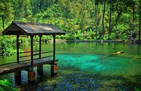 Telaga Rambut Monte di Kabupaten Blitar/ist