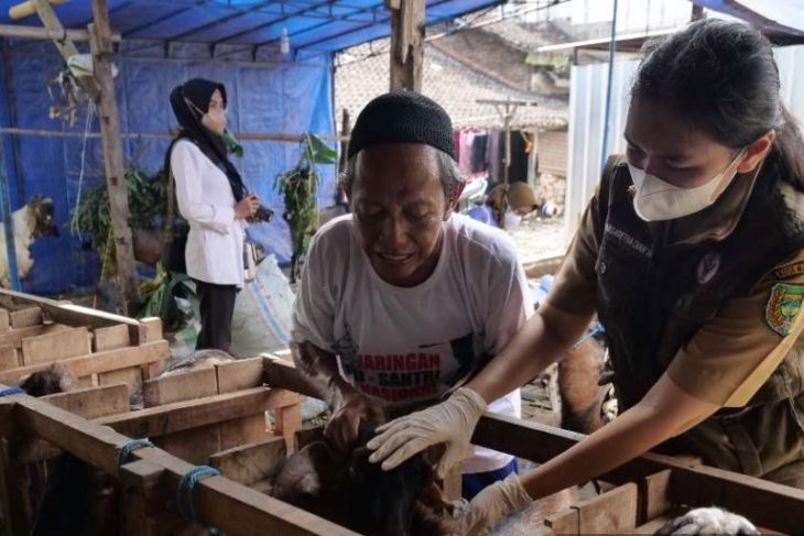 Petugas Dinas Ketahanan Pangan dan Pertanian (DKPP) Kota Madiun memeriksa kesehatan hewan kurban di sejumlah peternak dan penjual musiman di Kota Madiun, Jawa Timur, Senin (4-7-2022). ANTARA/HO-Diskominfo Kota Madiun