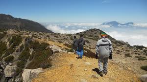 Pendakian Gunung Arjuno-Welirang Dibuka Lagi