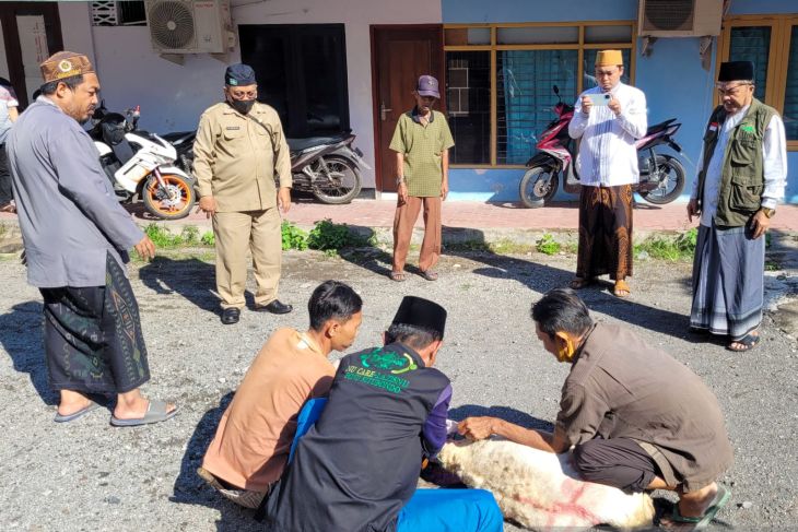 Penyembelihan hewan kurban PCNU Kabupaten Situbondo. Selasa (12/7/2022) (ANTARA/Novi H)