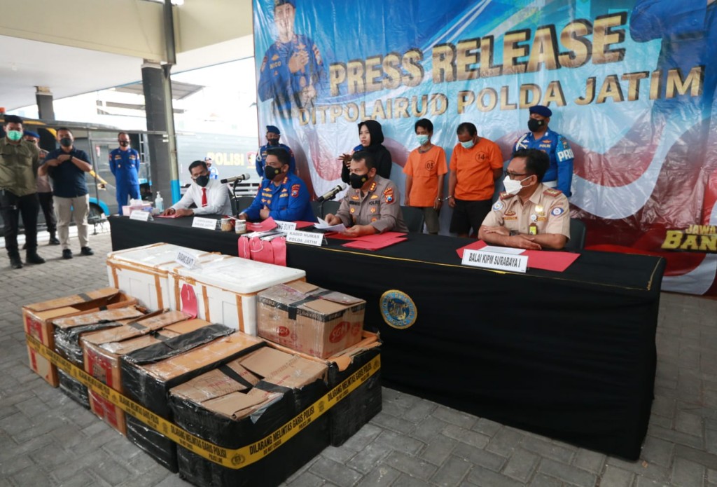 Ditpolairud Polda Jawa Timur gagalkan penyelundupan 48 ribu benih lobster tujuan Jakarta dan Batam. Dokumentasi/ Humas Polda Jatim