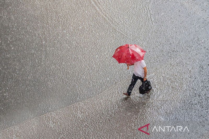 Ilustrasi - Seseorang memegang tas dan payung merah berjalan di jalan dalam hujan yang sangat deras. ANTARA/Shuuterstock/pri.