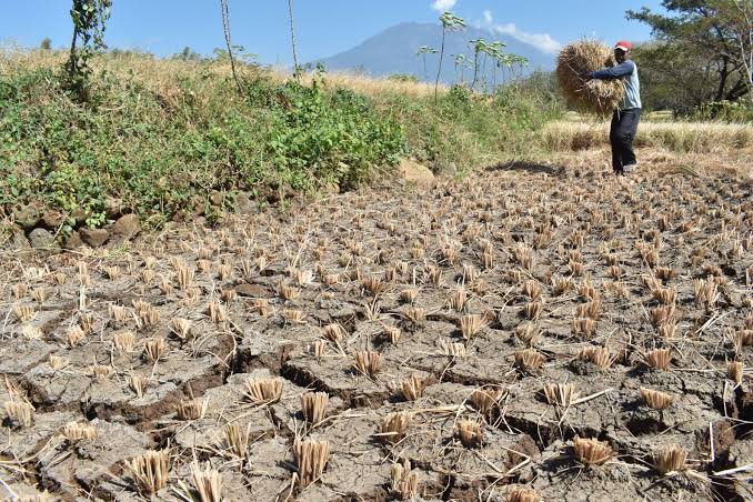 Musim Hujan Mundur, Waspada Bencana Hidrometeorologi