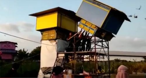 Petugas merobohkan sangkar burung merpati yang dijadikan arena judi/metroTV