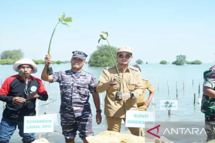 Aksi tanam mangrove di Pantai Sepuluh, Bangkalan, Jawa Timur, Selasa (26/7/2022). (ANTARA/HO-Kominfo Bangkalan)