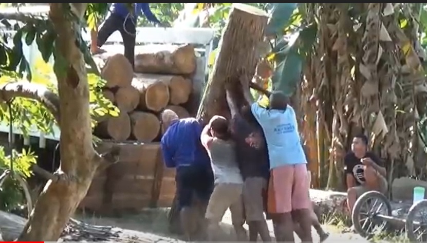 Puluhan gelondong kayu jati dan mahoni ditemukan di tepi jalan dan halaman rumah warga di Ngawi/metrotv