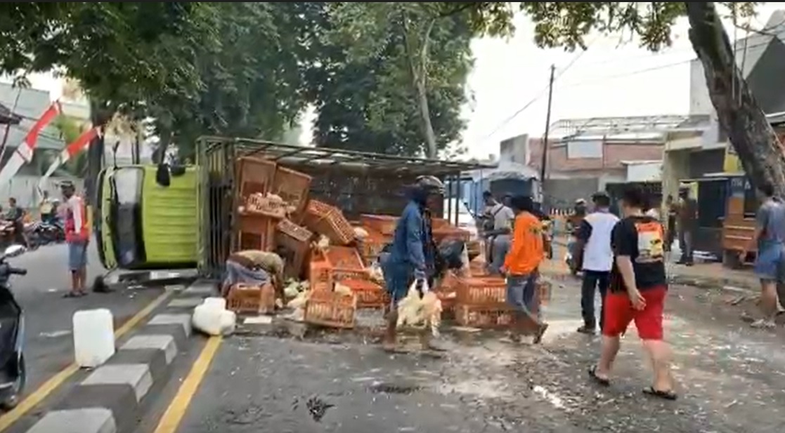 Truk Terguling di Jombang, Ribuan Ayam Berhamburan