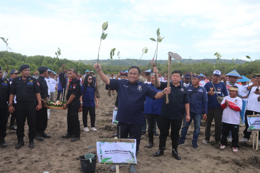 DPW NasDem Jawa Timur ketika penanaman ribuan pohon mangrove di Desa Kedungasri, Kecamatan Tegaldlimo, Kabupaten Banyuwangi, Minggu, 28 Agustus 2022. (Dok: Humas DPW NasDem Jatim).