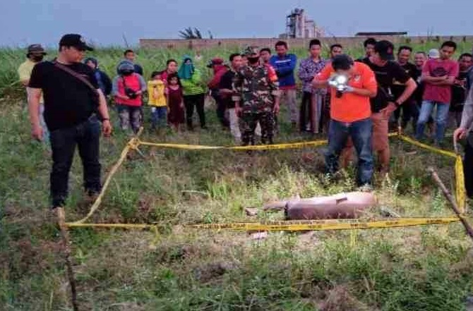 Polisi melakukan olah TKP di lokasi penemuan mayat wanita di area persawahan Dusun Kedungasem, Jombang (Foto / Metro TV)