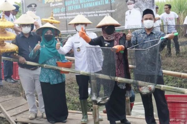 Pemkab Mojokerto Fasilitasi Budi Daya Ikan Air Tawar