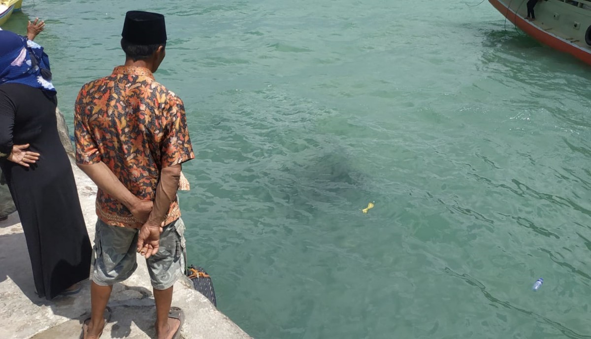 Kondisi pikap masih berada di dalam laut (Foto / Metro TV)