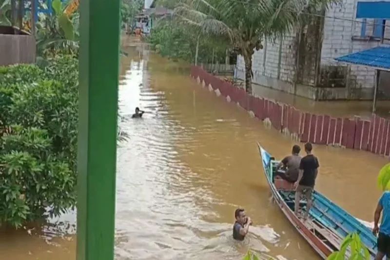 Kondisi banjir hampir setinggi dada orang dewasa di Desa Tumbang Manggu, Kecamatan Sanaman Mantikei Katingan, Sabtu (6/8/2022). ANTARA/Dokumentasi Pribadi