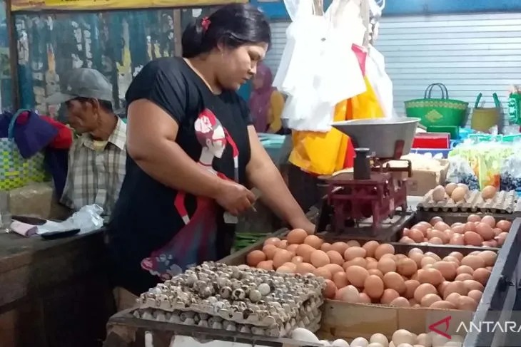 Pedagang telur menunggu pembeli di Pasar Tanjung Jember (ANTARA/Zumrotun Solichah)