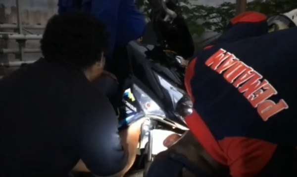Ular 1,7 Meter Masuk Lampu Motor, Petugas Damkar Turun Tangan