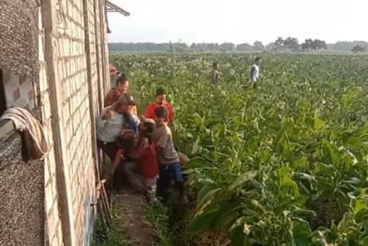 Meresahkan, Rombongan Pesilat Ngamuk Lukai 4 Warga di Jombang