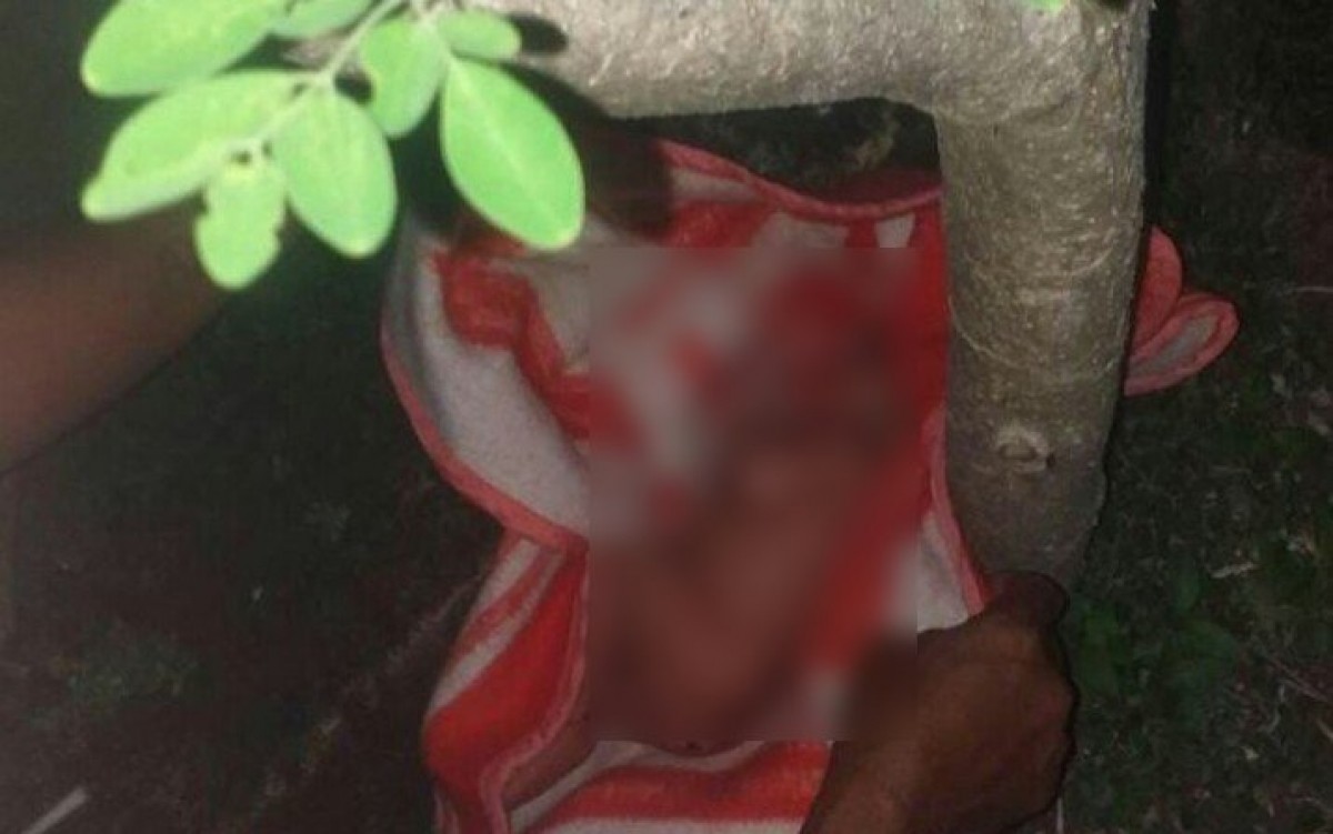 Bayi perempuan ditemukan warga di bawah pohon kelor (Foto / Metro TV)