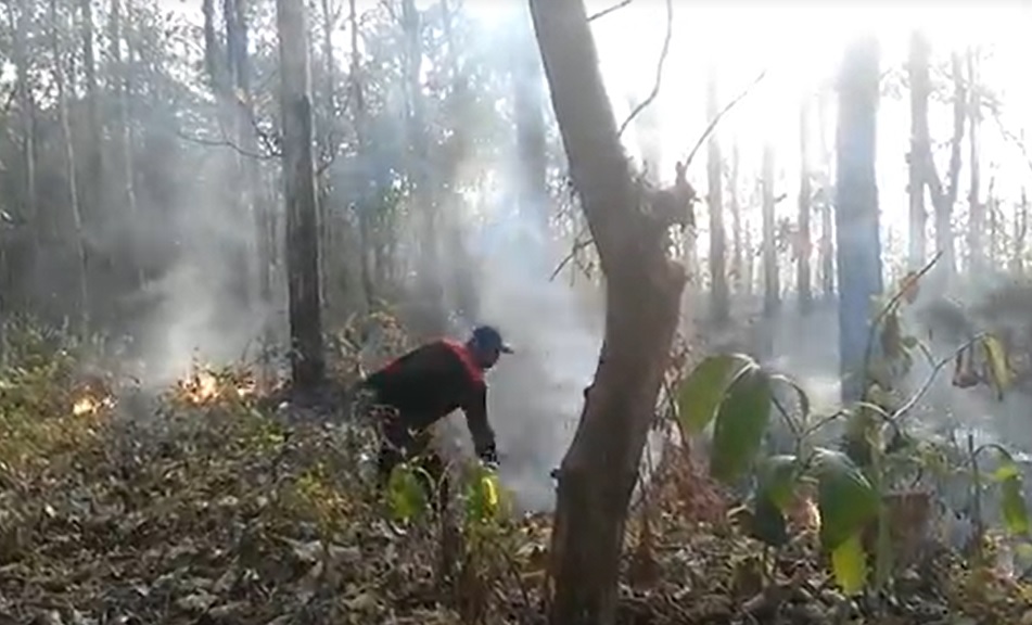Petugas berusaha memadamkan api di wilayah KPH Parengan/metrotv