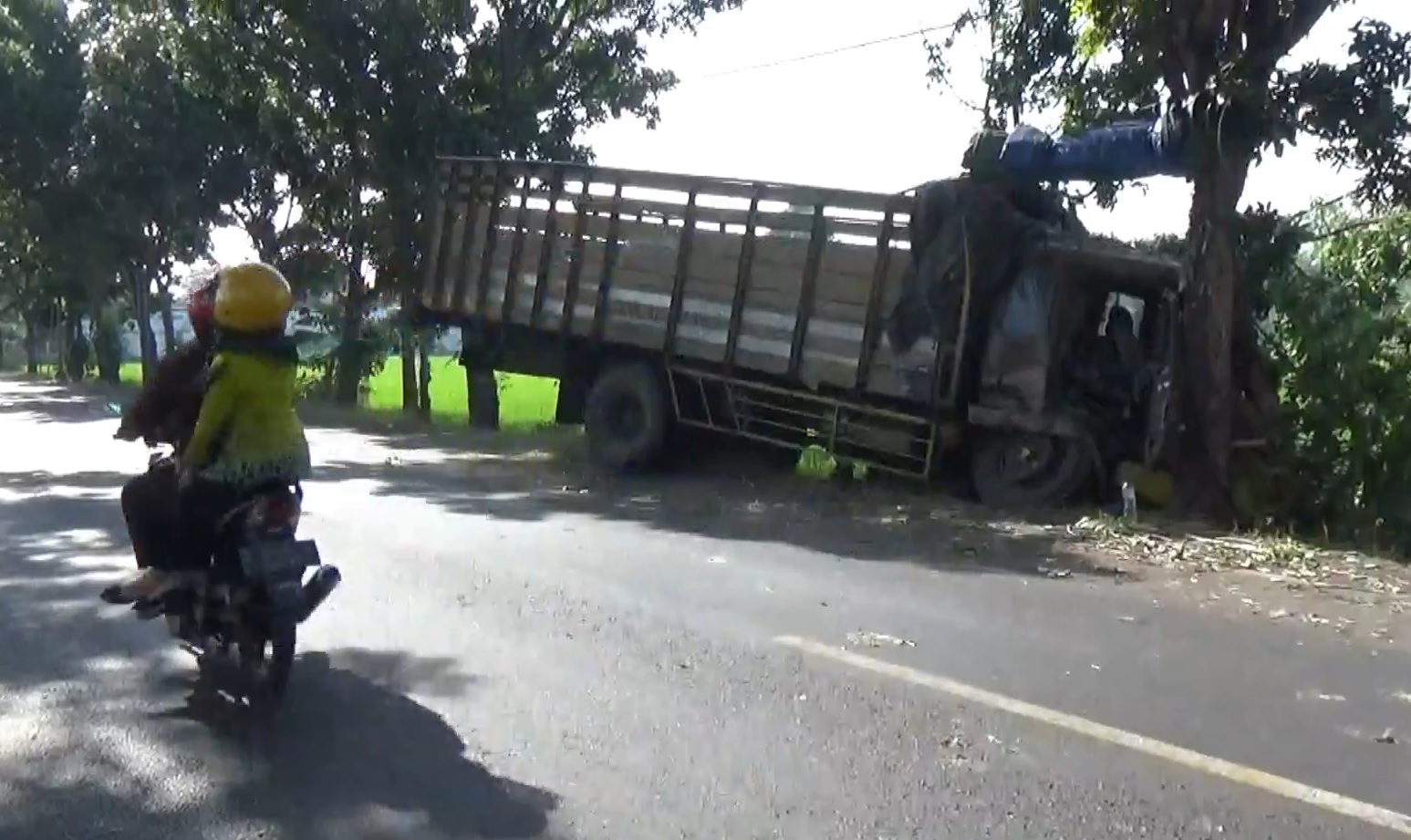 Sopir Mengantuk, Truk Tanpa Muatan Tabrak Pohon di Pasuruan