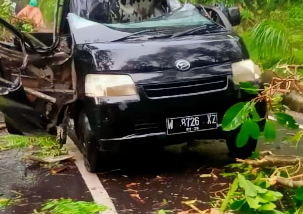 Pengendara Motor Tewas Tertimpa Pohon di Jalur Malang-Kediri