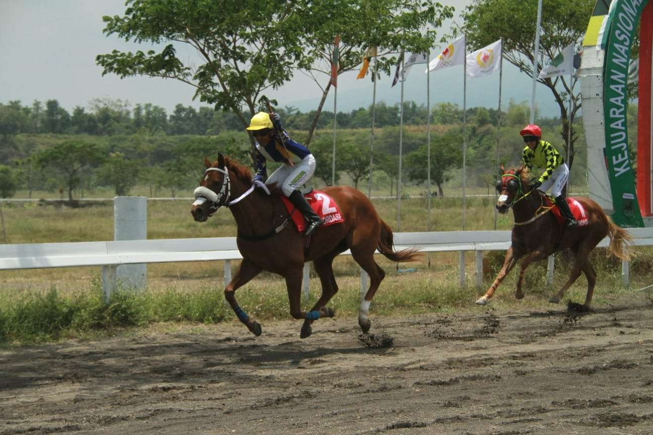 Kejurnas Pacu Kuda Pordasi ke-56 di Arena Ki Ageng Astrojoyo, Cobanjoyo, Pasuruan, Jawa Timur/istt