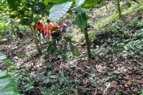 BPBD dan PMI Jember mengukur retakan tanah yang terjadi di salah satu kebun kopi di Desa Sidomulyo, Kecamatan Silo, Kabupaten Jember, Rabu (12/10/2022). (ANTARA/HO-PMI Jember)