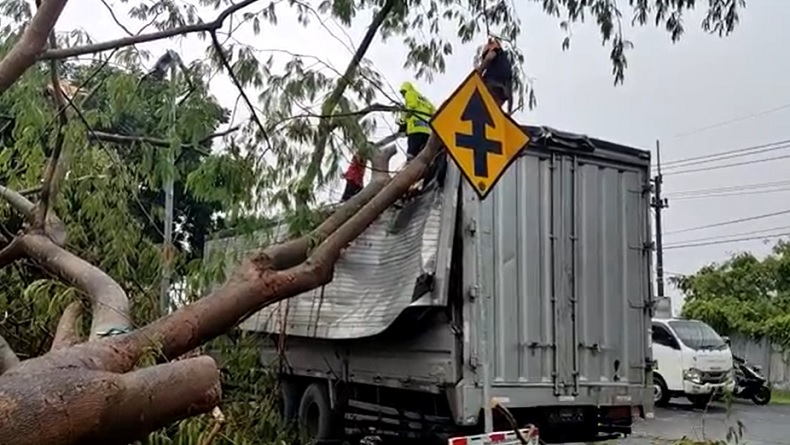 Pohon petai tumbang timpa truk parkir, sopir dan kernet selamat (Foto / Metro TV)