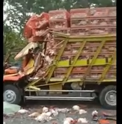 Kondisi truk yang mengangkut ribuan ayam potong ringsek/metrotv