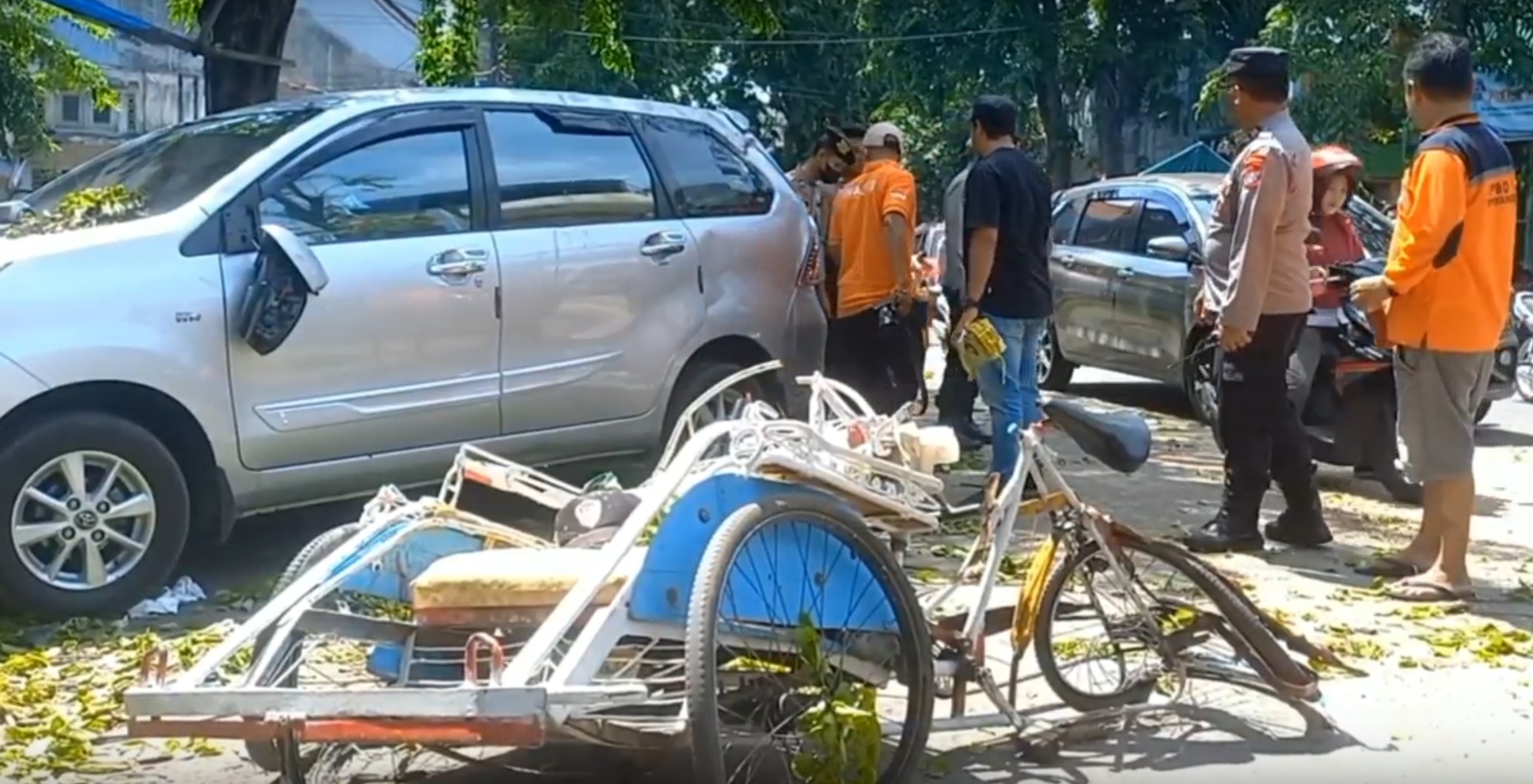 Pohon Tumbang Timpa Becak di Probolinggo, 1 Tewas