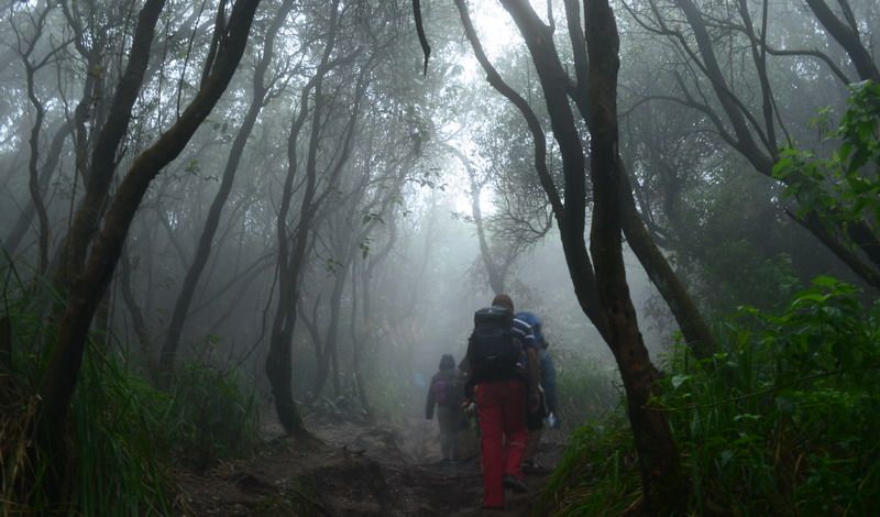 Pencarian pendaki hilang di Gunung Lawu (Foto / Istimewa)