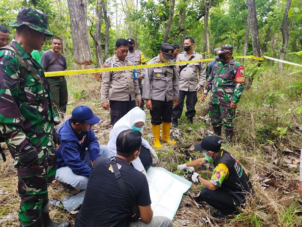 Tengkorak Manusia Ditemukan di Taman Nasional Baluran, Polisi Sebut Ada 4 Luka di Dahi