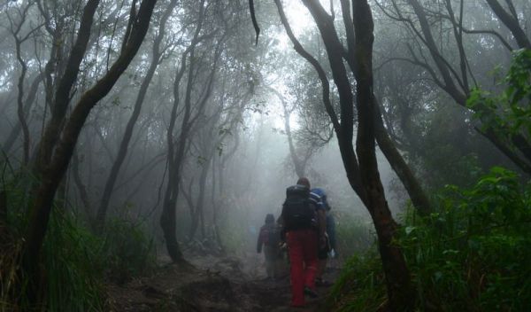 Pencarian Pendaki Hilang di Gunung Lawu Dihentikan