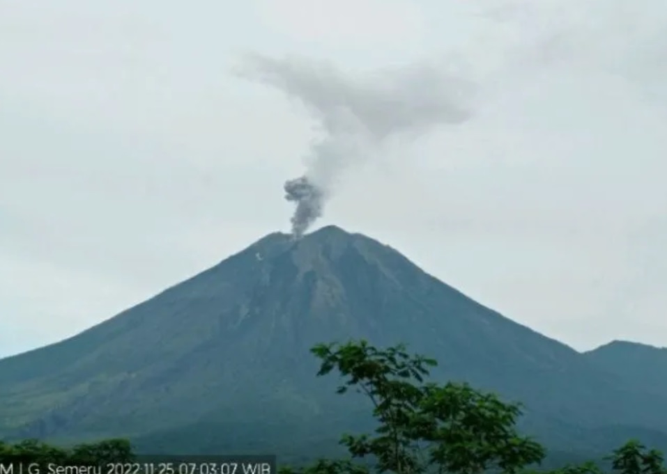 Gunung Semeru erupsi melontarkan kolom abu setinggi lebih lebih kurang 500 meter pada pukul 07:02 WIB, Jumat (25/11/2022). (ANTARA/HO-PVMBG)