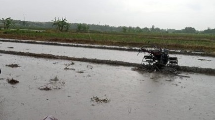 Bajak Sawah, Petani di Mojokerto Tewas Tersambar Petir