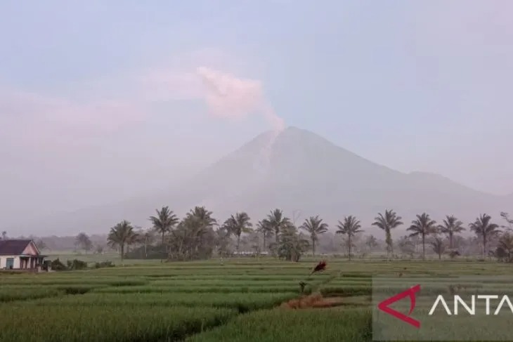 Gunung Semeru masih mengalami erupsi yang terlihat dari Desa Sumberwuluh, Kecamatan Candipuro, Kabupaten Lumajang, Senin (5/12/2022). (ANTARA/VJ Hamka Agung Balya)