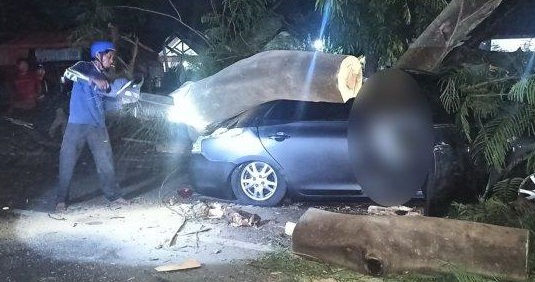 Petugas mengevakuasi pohon tumbang yang menimpa mobil sedan hingga menyebabkan 1 korban tewas (foto / Istimewa)