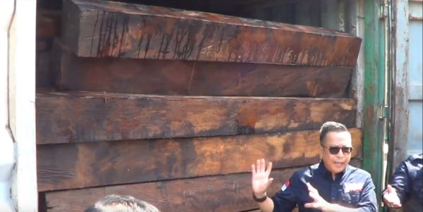 KLHK Bongkar Peredaran 57 Kontainer Kayu Ilegal Asal Papua