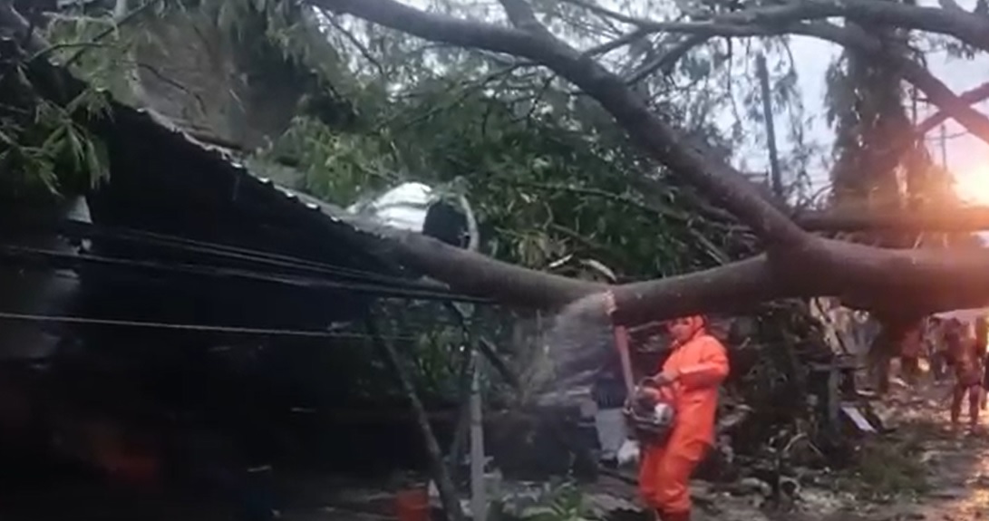 Petugas memotong pohon tumbang yang menimpa rumah warga/metrotv