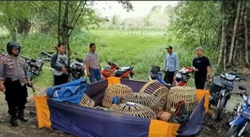 Arena judi sabung ayam di Kabupaten Pasuruan digrebek polisi/metrotv